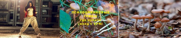 спайс Покровск