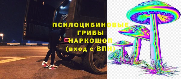 гидра Покров