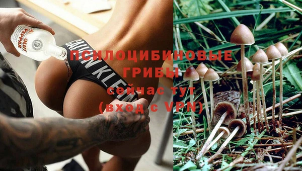 МДМА Пересвет